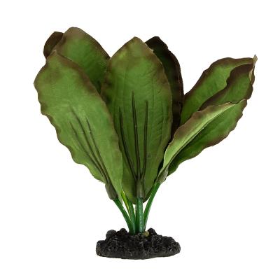 Шелковое растение Prime Эхинодорус Розеа 13см