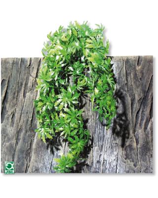 Искусственное растение для террариума JBL TerraPlanta Canabis 50см