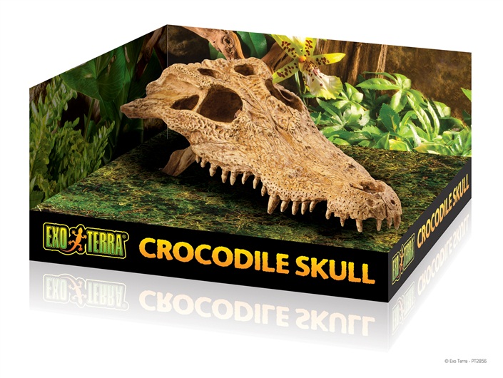 Декорация для террариума Hagen Exo-Terra Crocodile Skull