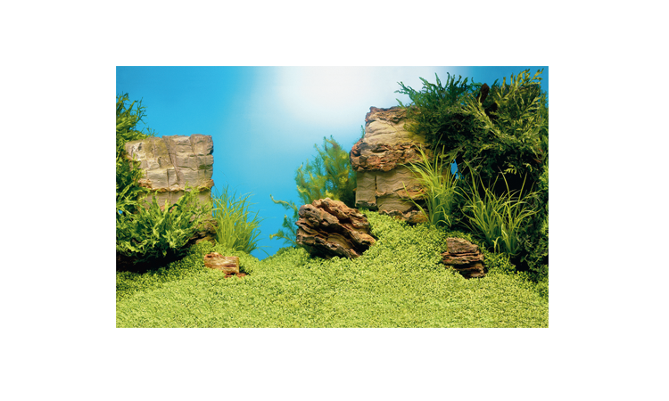 Фон для аквариума Juwel S "Пейзаж и камни" 60х30см